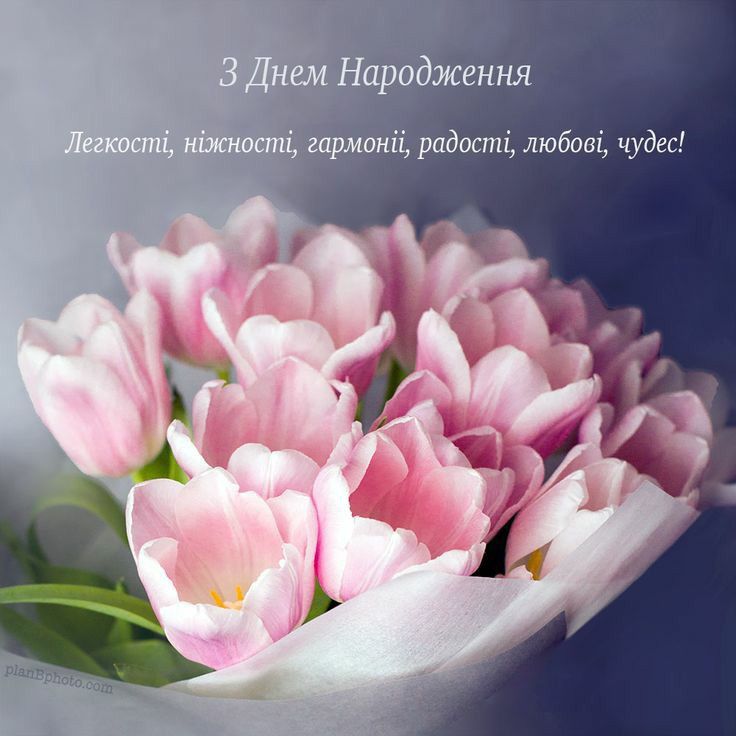 Привітання з Днем народження тітці картинка 25